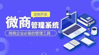 网上订货系统开发，搭建线上商城平台